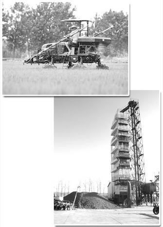 1526602889432606.jpg 01.jpg