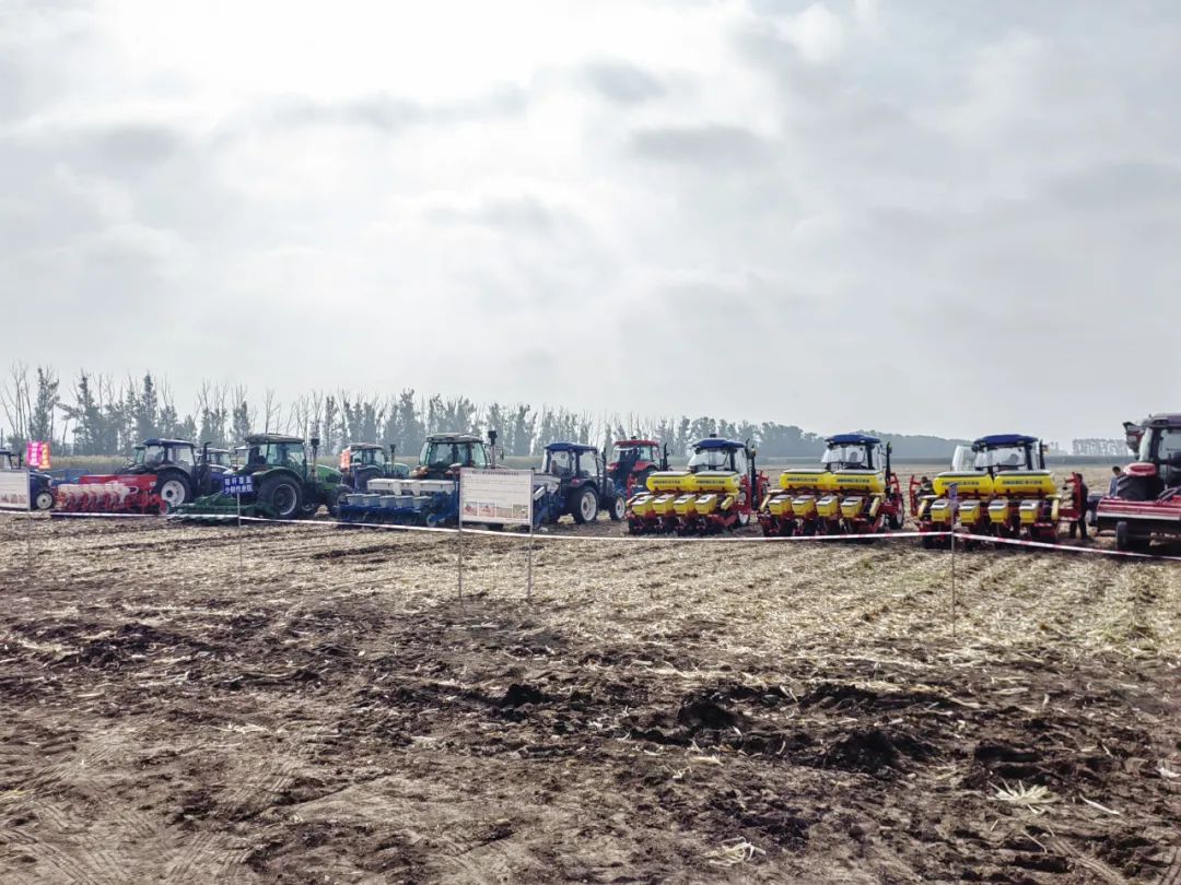 1696663069889128.jpg 640 (50).jpg